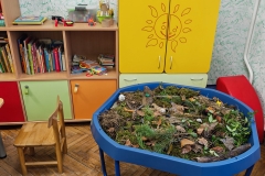 IMG_20260320_082019_edit_72457001335119-scaled