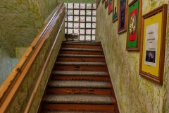 IMG_20260320_113640-scaled